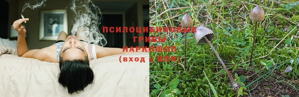 герыч Алексеевка