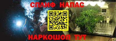 сатива Краснодар
