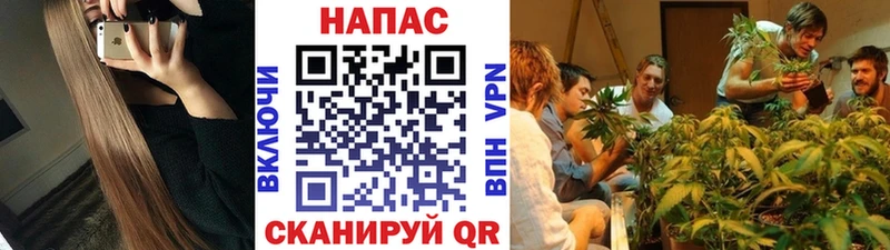 маркетплейс как зайти  Михайловск  Шишки марихуана тримм  сколько стоит 