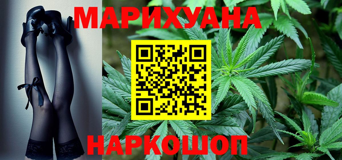 Каннабис сатива Михайловск
